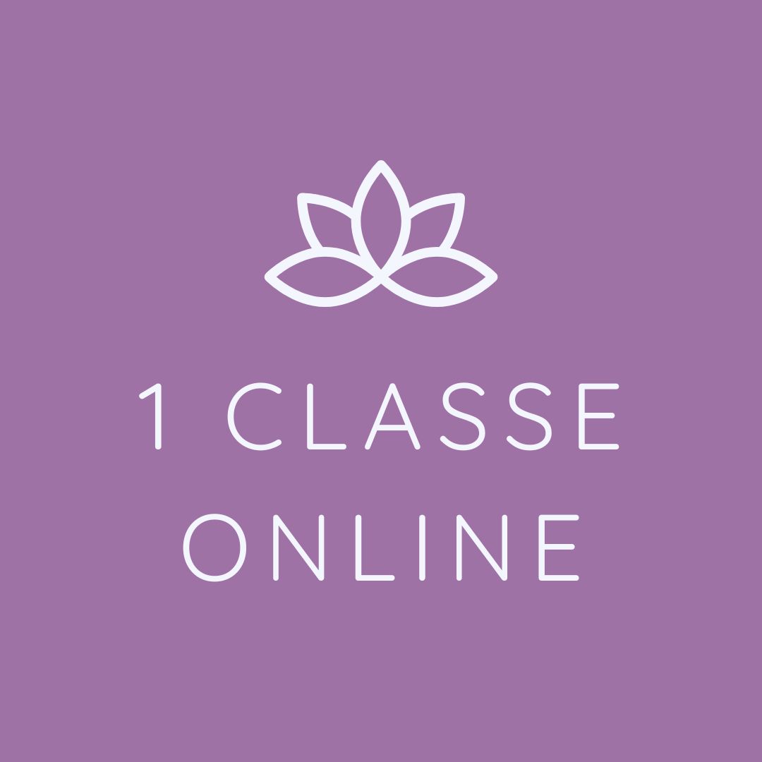 1 classe online